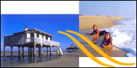 receptive and business tourism